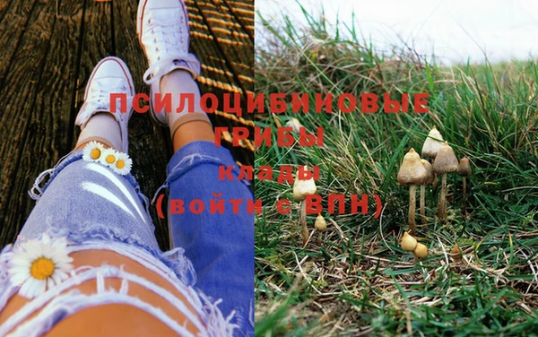 бошки Белоозёрский