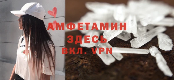 шишки Пересвет