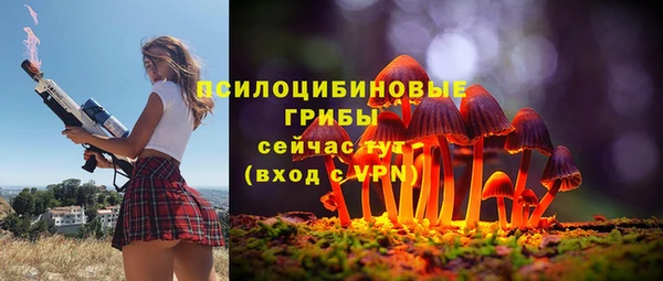 бошки Белоозёрский
