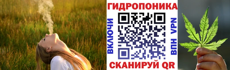 Канабис планчик  Бузулук 